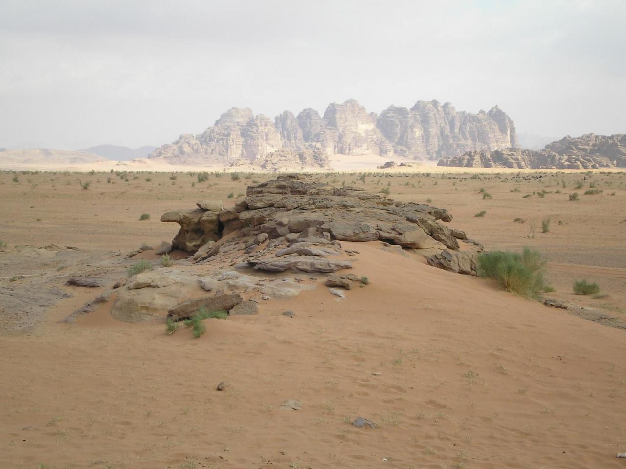 Bedouin Stylelife Camp Hotel Wadi Rum Eksteriør billede